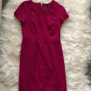 The Limited pink pencil dress